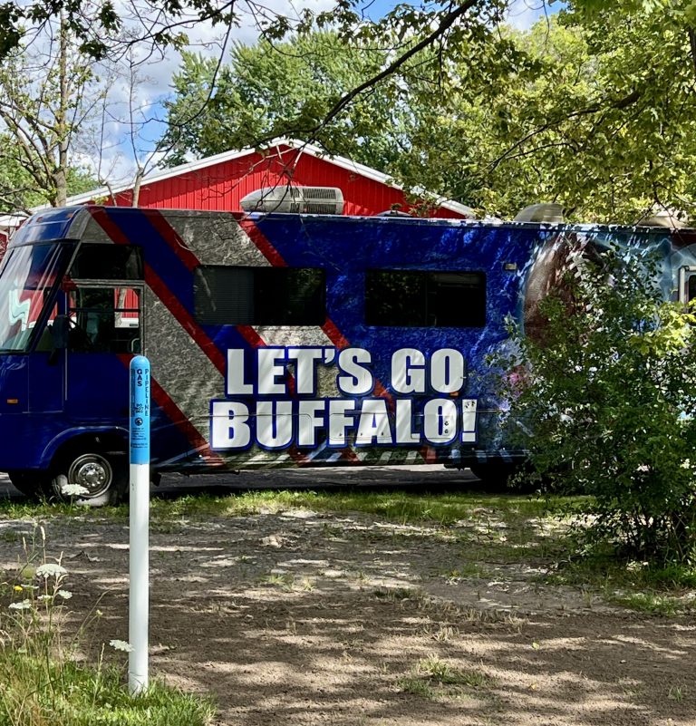 Buffalo