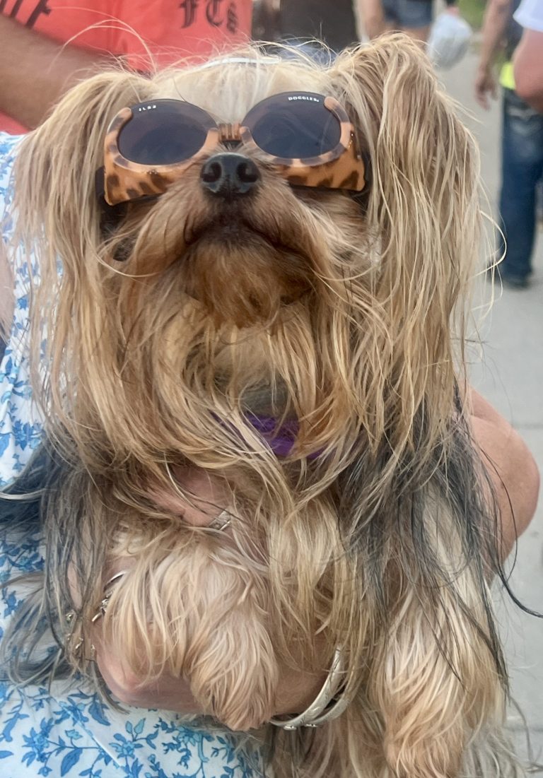 Abschied von Sturgis