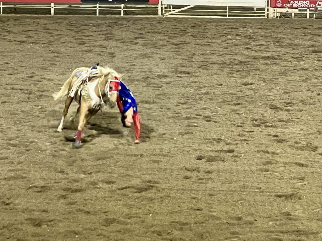 Cody Night Rodeo