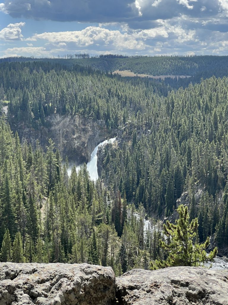 Yellowstone