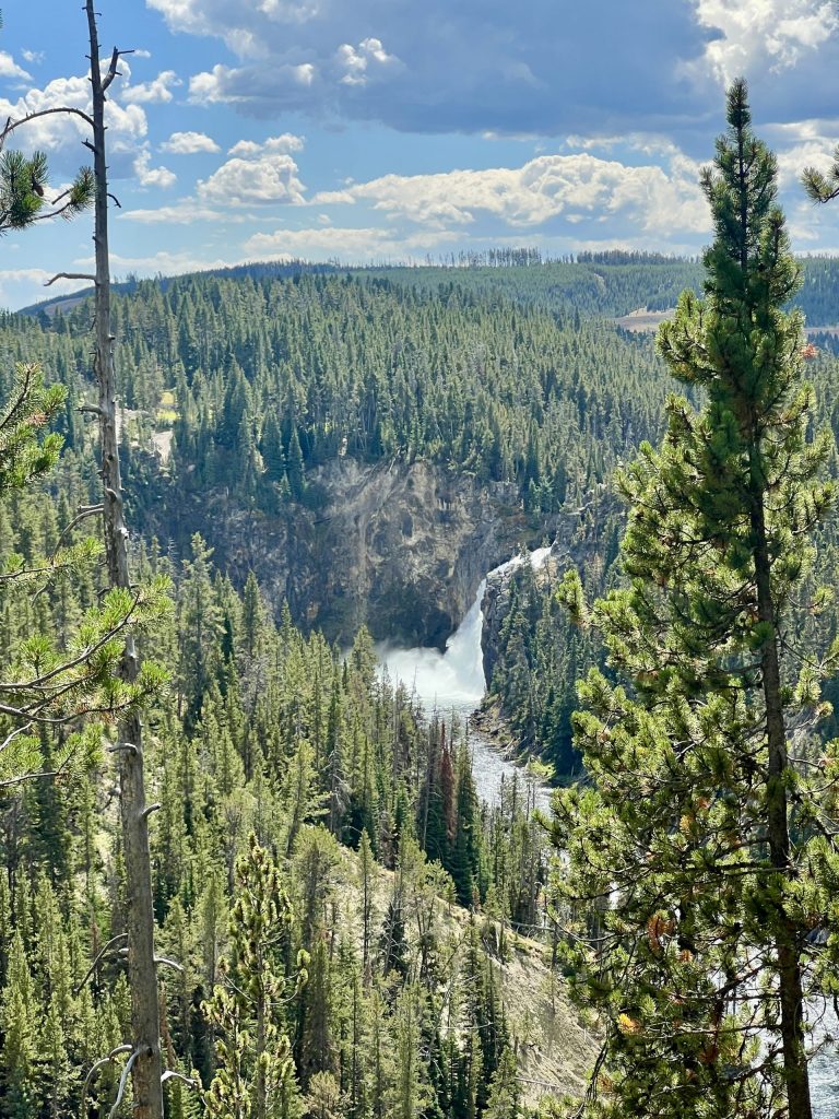 Yellowstone