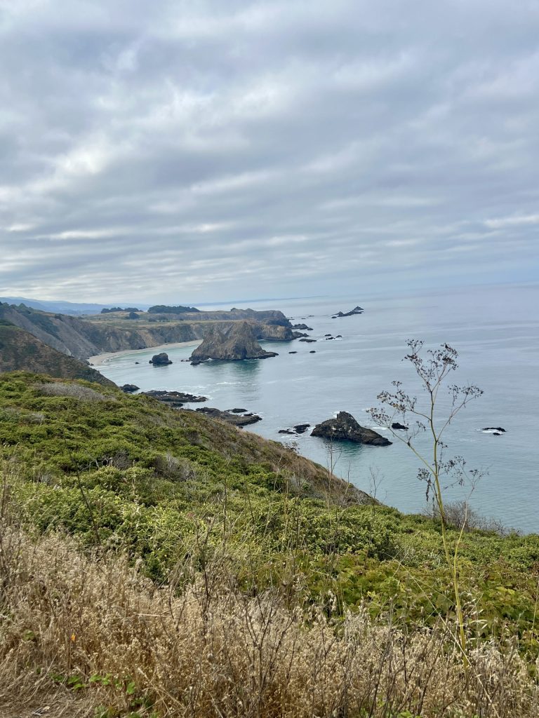 California Highway 1