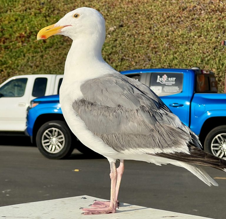 Weiter Richtung Süden