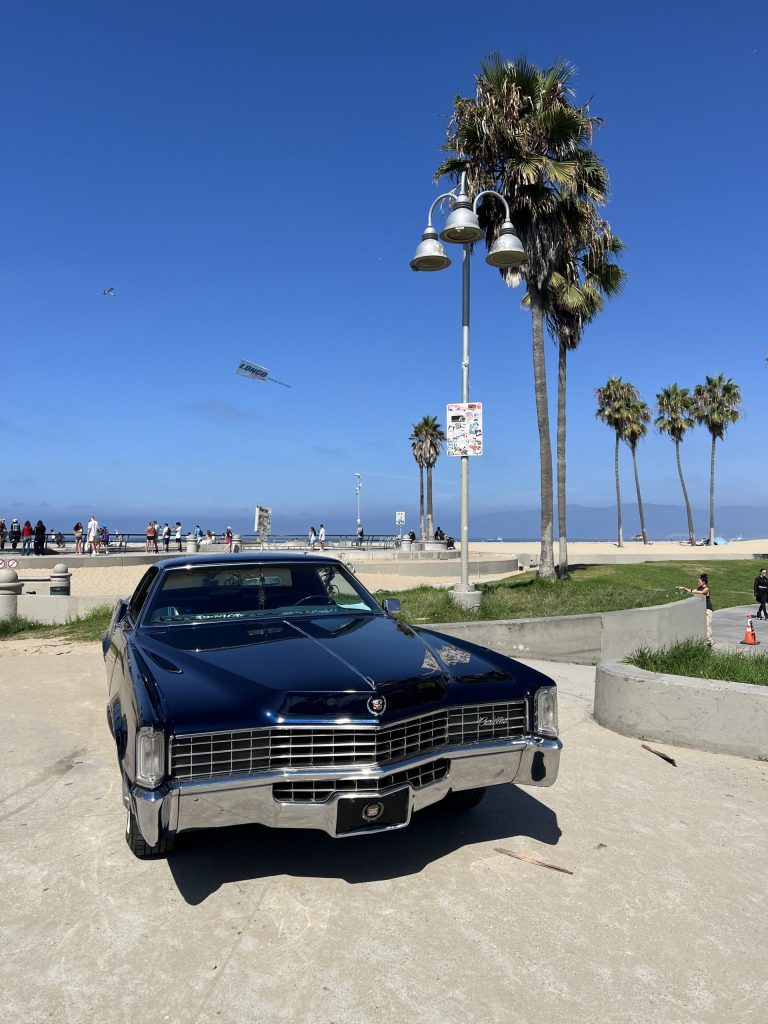 Venice Car Show