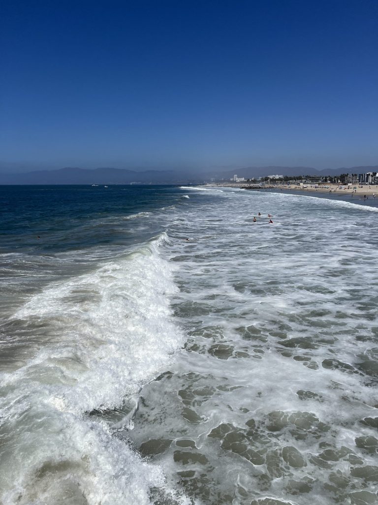 Venice Fishing Pier