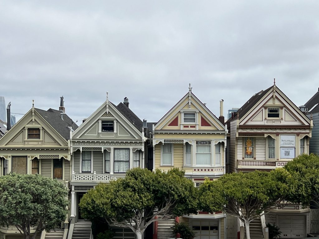 Painted Ladies