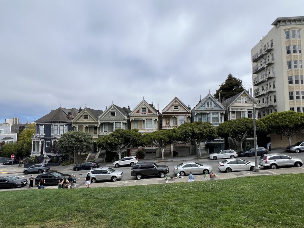 Painted Ladies
